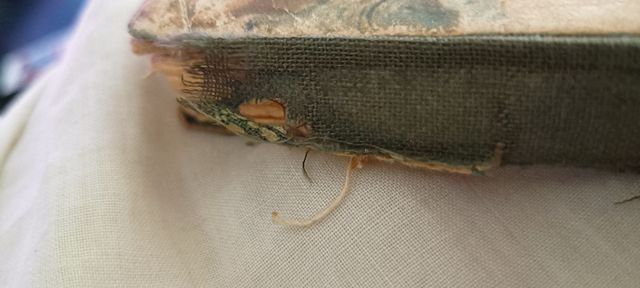 libro de cien figuras universales