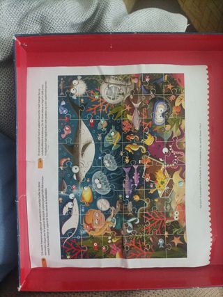 puzzle de piezas gigantes cartón duro