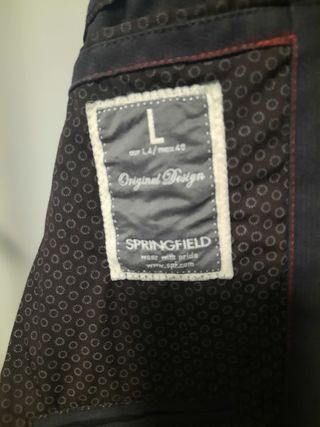 Americana Springfield invierno 