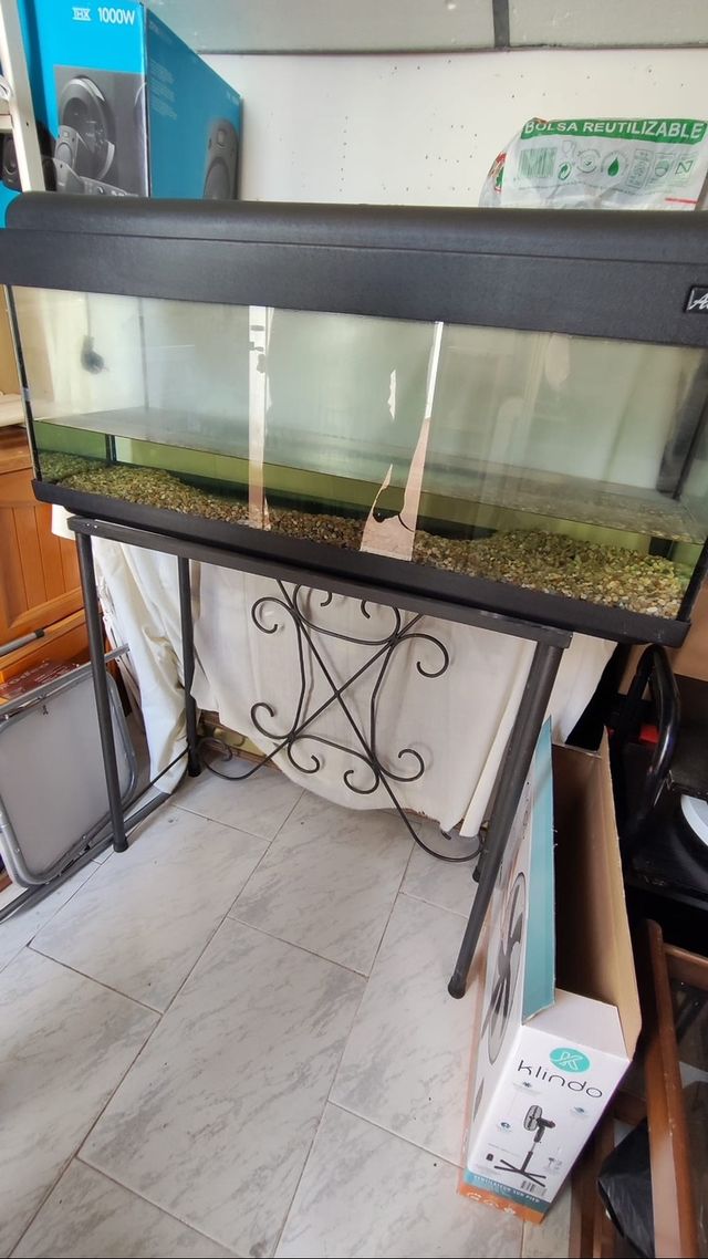 Acuario - pecera -terrario