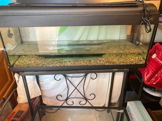 Acuario - pecera -terrario