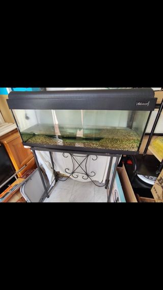 Acuario - pecera -terrario