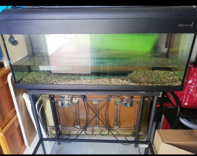 Acuario - pecera -terrario