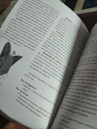 Libro "Mi cabeza me hace trampas" Carlos  Mañas