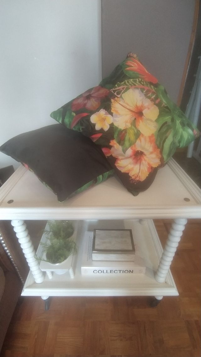 cojín nuevo de tienda