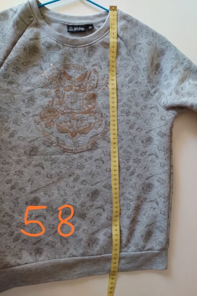Sudadera Harry Potter.