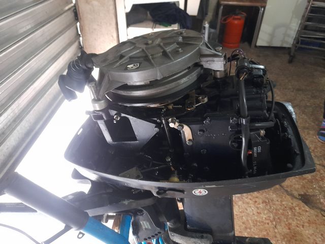 Motor de fora de borda EVINRUDE xp25