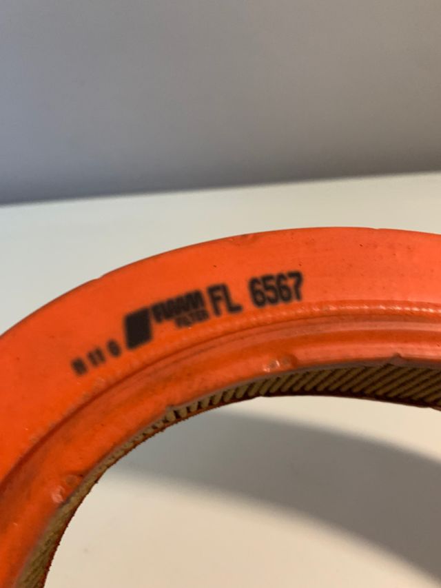 Filtro aria per auto Fiaam FL6567