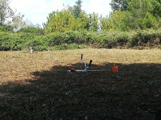 decespugliatori manutenzione giardino