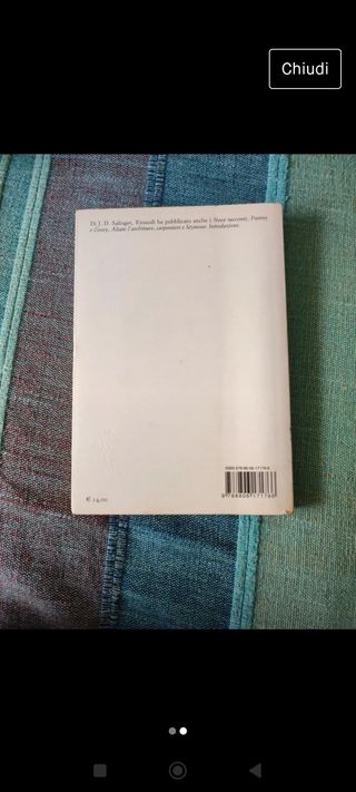 libro Il giovane Holden 
