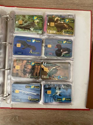Más de 350 tarjetas de teléfono