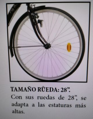 Bicicleta paseo mujer