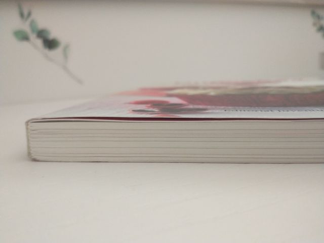 Precioso libro de CUPCAKES