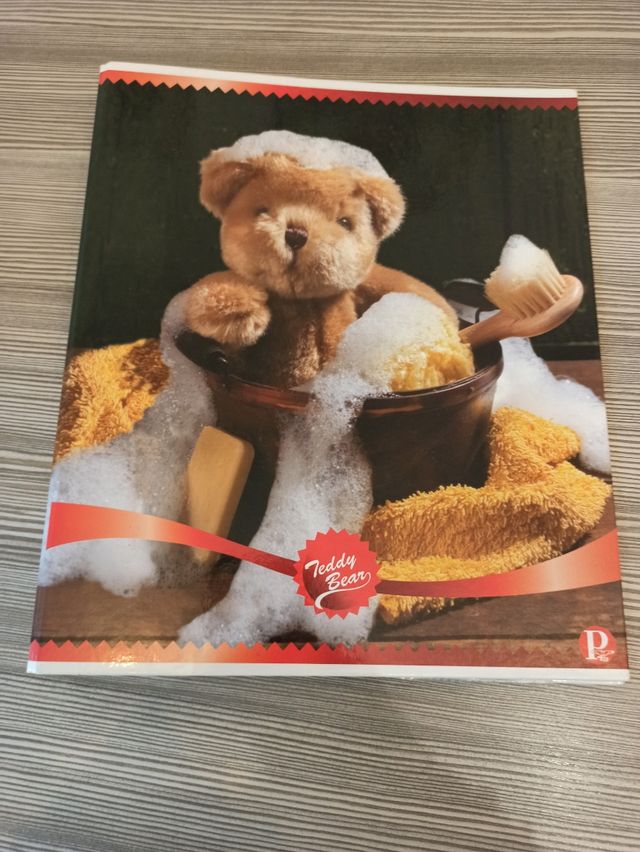 Raccoglitore Pigna A4