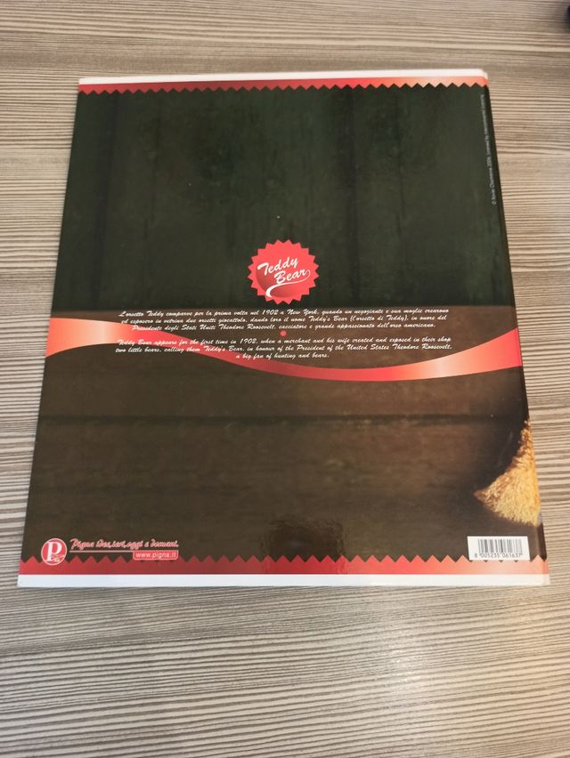 Raccoglitore Pigna A4