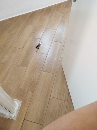 PINTURA PRESUPUESTO GRATIS DESDE 500 € TODO INCLUI