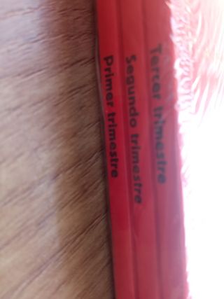 NUEVO matemáticas 1 primaria Anaya pieza a pieza