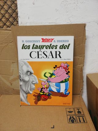 ASTERIX EL GALO, PUBLICADO POR SALVAT