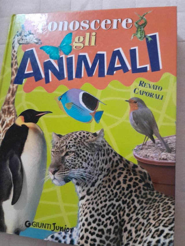 Conoscere gli animali