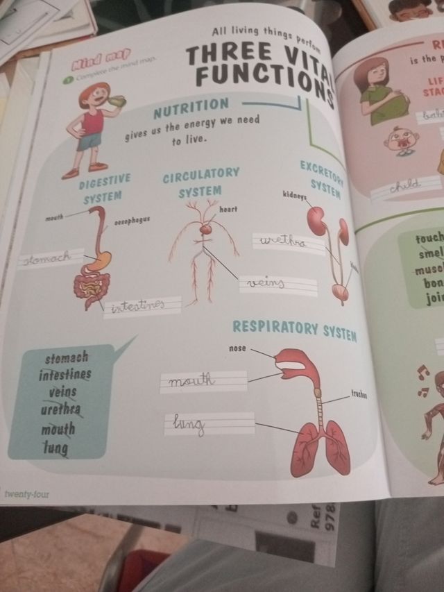 natural science 2 primaria note book