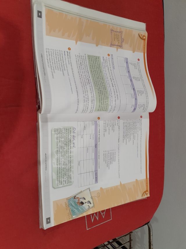 Desenllaç llengua catalana i literatura