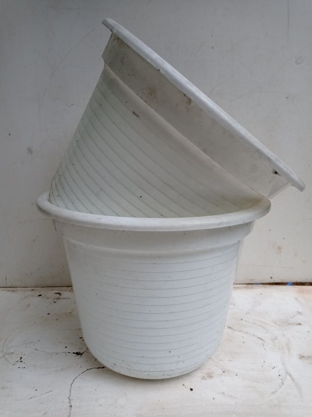Lote 2 macetas blancas 