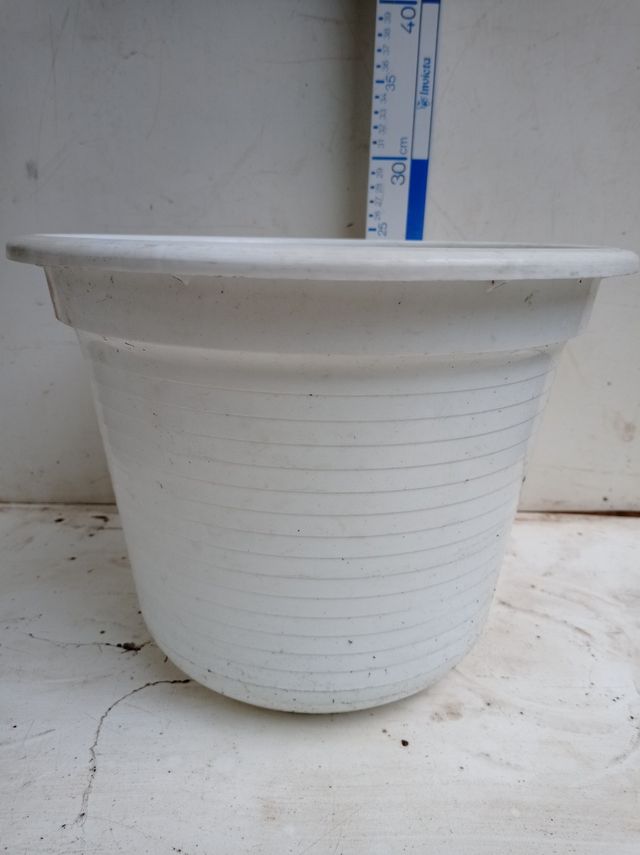 Lote 2 macetas blancas 