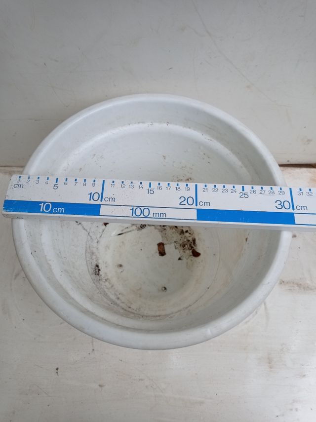 Lote 2 macetas blancas 