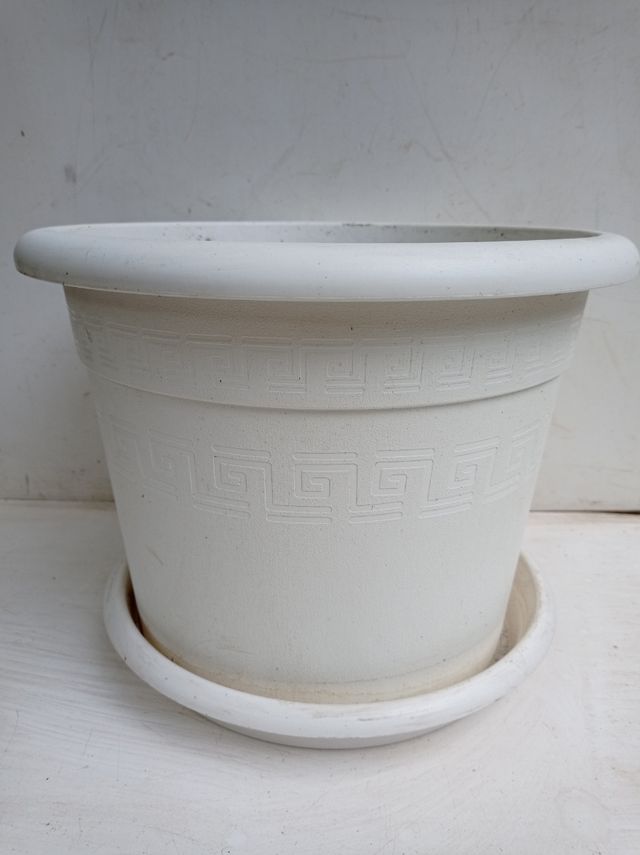 Maceta resina blanca y plato