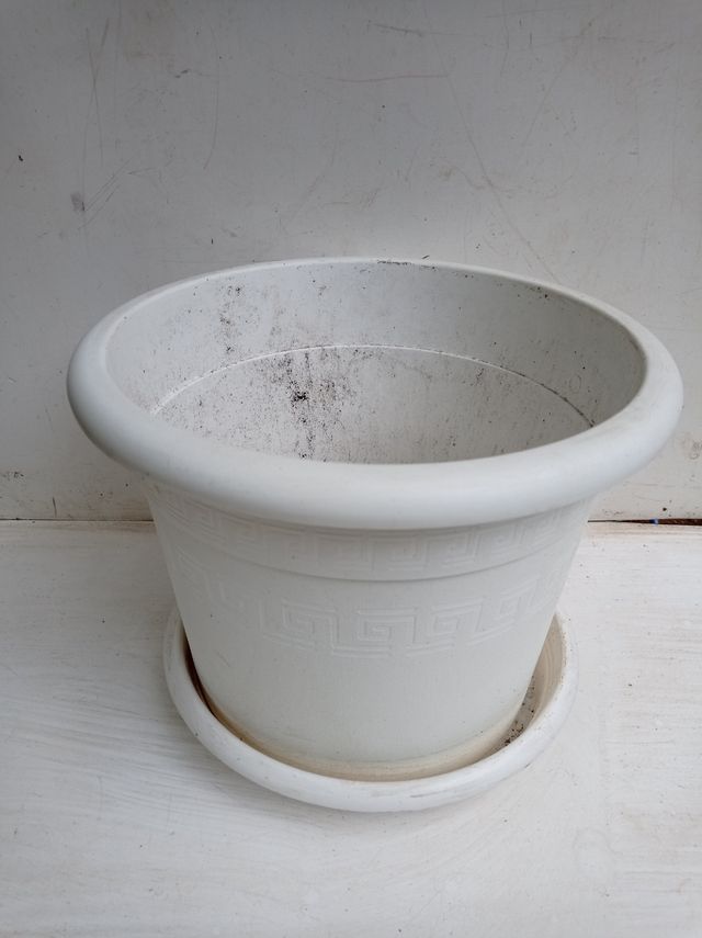 Maceta resina blanca y plato