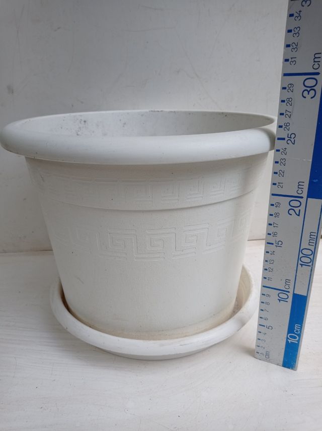 Maceta resina blanca y plato