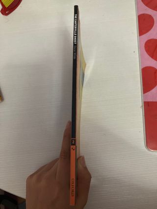 The Canterville Ghost