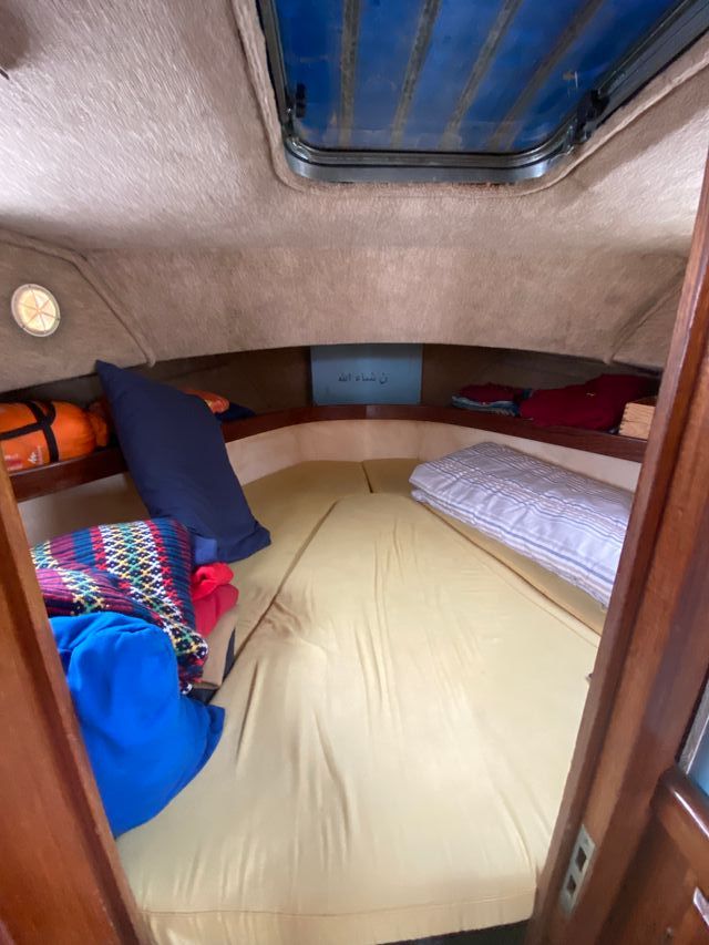 Velero Myabca Delfin 31