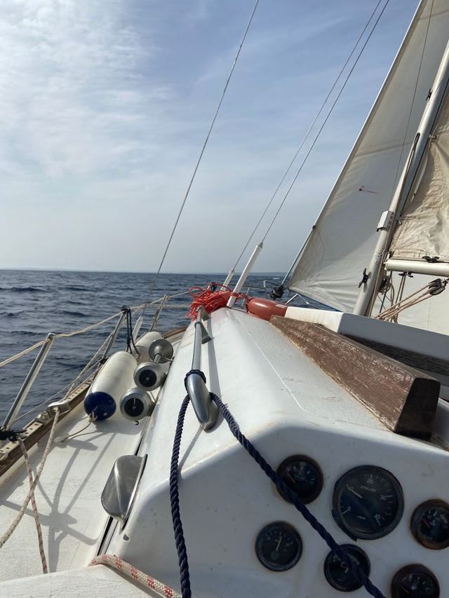 Velero Myabca Delfin 31