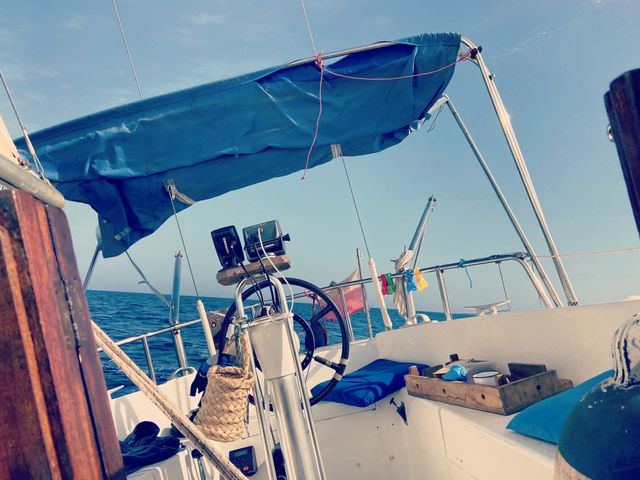 Velero Myabca Delfin 31