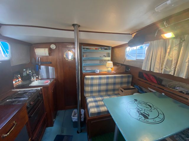 Velero Myabca Delfin 31