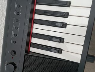 Yamaha Piaggero NP-11