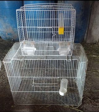 Dos jaulas para pájaros