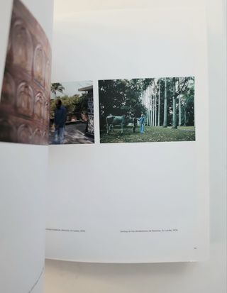 El Oriente de Severo Sarduy