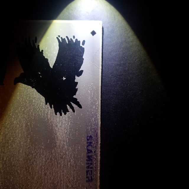 HOHOKAM - HARLEQUIN TEARS