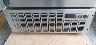 Frigorífico pescado