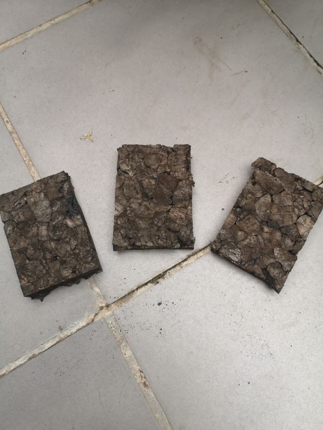 corcho para orquideas