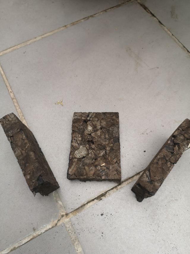 corcho para orquideas