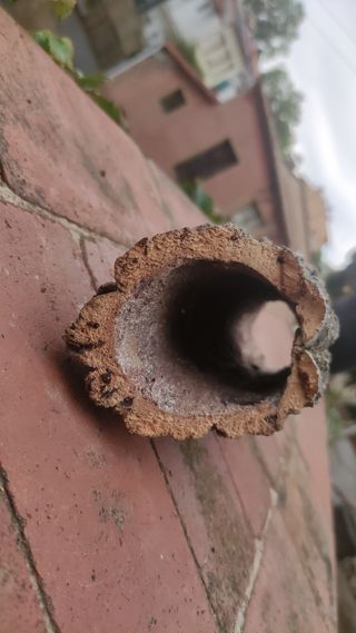 Casita cueva hueca acuario terrario