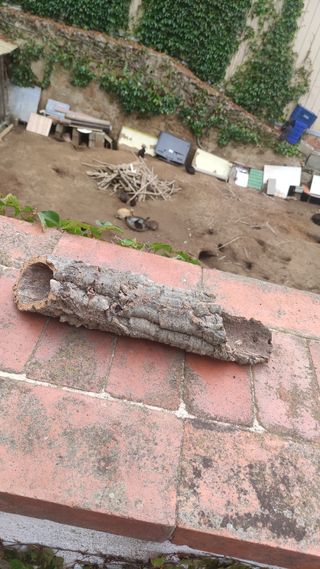 Casita cueva hueca acuario terrario