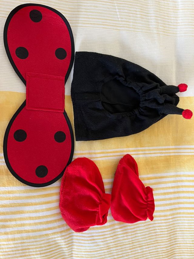 Disfraz de bebé niño o niña de mariquita