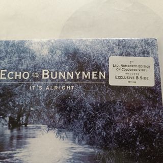ECHO AND THE BUNNYMEN - IT'S ALRIGHT
