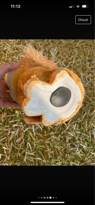 Salva denaio leone morbido