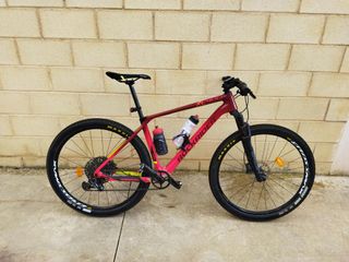 mtb 29 CARBONO