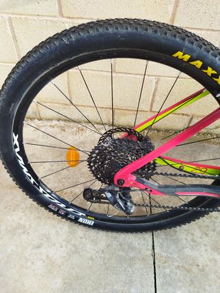 mtb 29 CARBONO